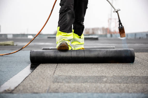 Best Asphalt Shingle Roofing  in Winters, TX